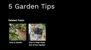 How to Display Related Posts in WordPress (Step by Step)