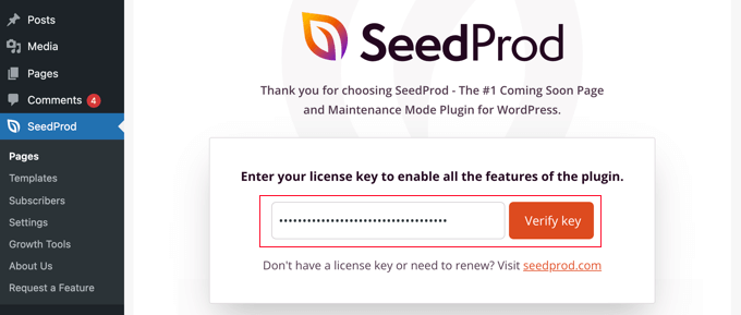 Entrez votre clé de licence SeedProd