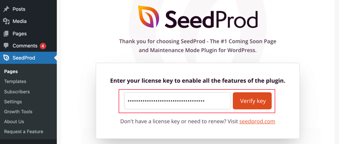 کلید مجوز SeedProd خود را وارد کنید