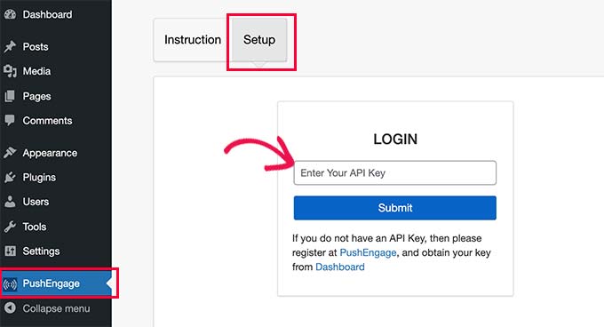 Paste API keys