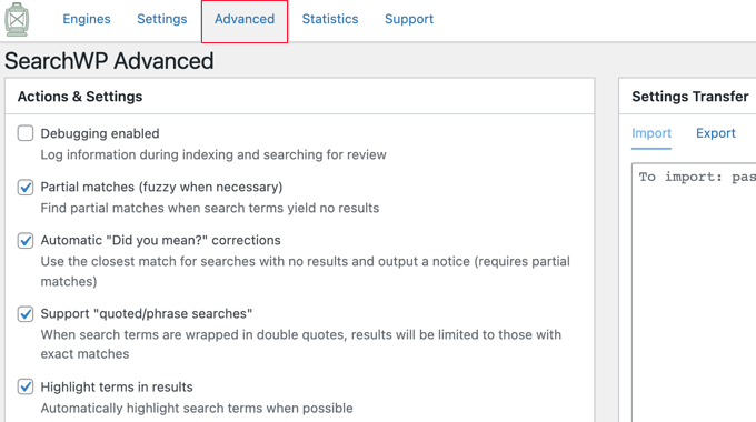 SearchWP Advanced Settings