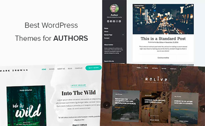 Choose a theme for your author website