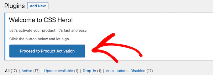 Activate CSS Hero plugin