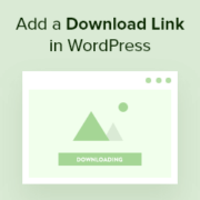 How to Easily Add a Download Link in WordPress (2 Ways)