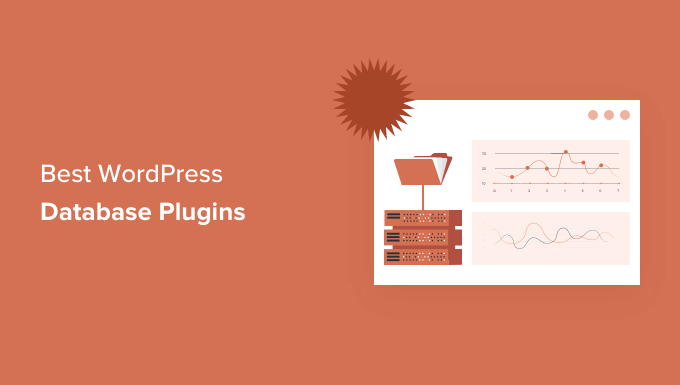 12 best WordPress database plugins