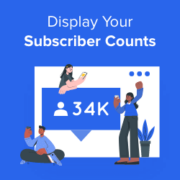 How to display all your subscriber counts in WordPress
