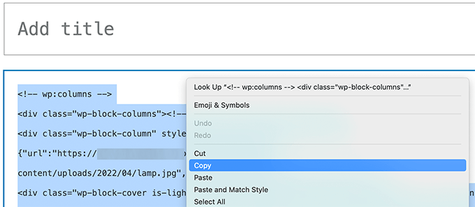 Copy raw code blocks