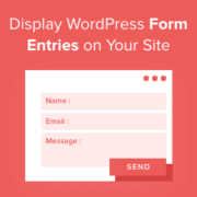 Display WordPress form entries on your site