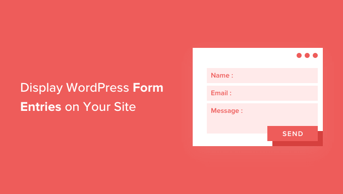 如何在您的网站上显示 WordPress 表单条目