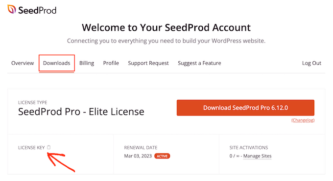 SeedProd 下载页面