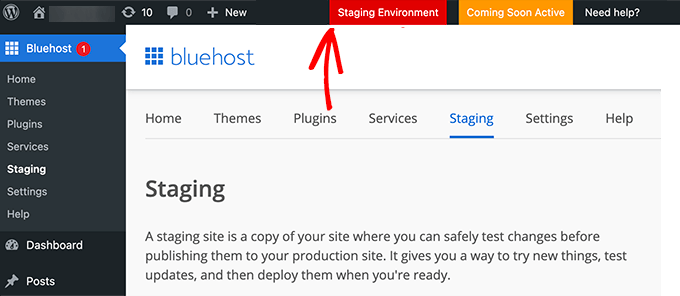 Bluehost Offers a 1-Click Staging Environment