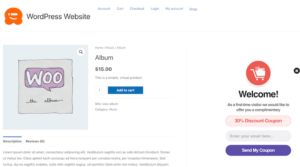 6 Best WordPress Banner Plugins in 2025 (Compared)