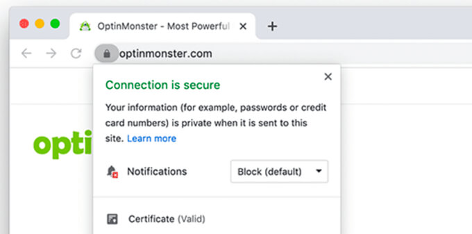 WebHostingExhibit secure-site-padlock-chrome What is a Website URL (Important Parts Explained for Beginners)  