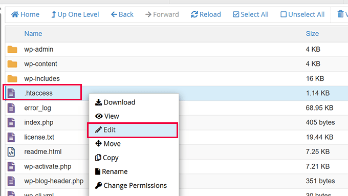 Desabilitar Edição de Arquivos Pelo Dashboard do WordPress