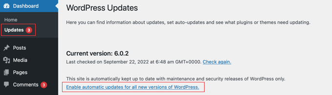 WebHostingExhibit updateautomaticupdatesforallnewversions How to Check and Update to the Latest WordPress Version  