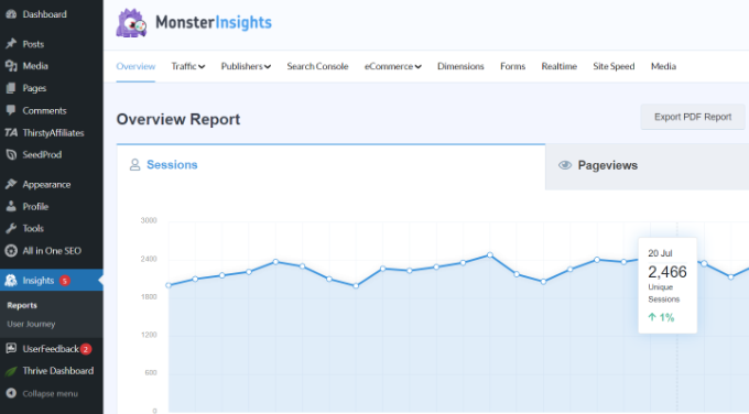 Overview report in MonsterInsights