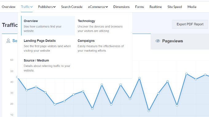 Traffic report in MonsterInsights