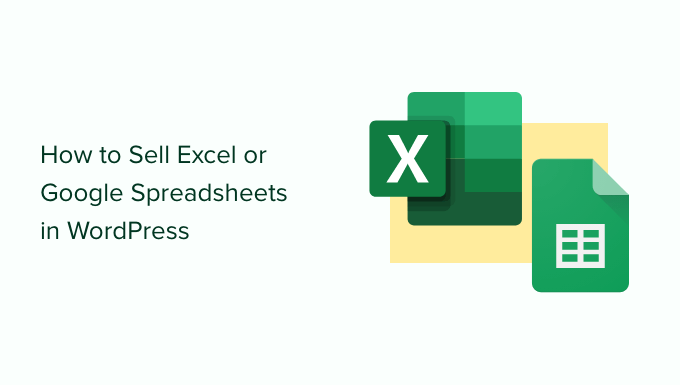 如何在 WordPress 中销售 Excel 或 Google 电子表格