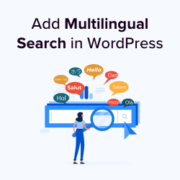 How to add multlingual search in WordPress