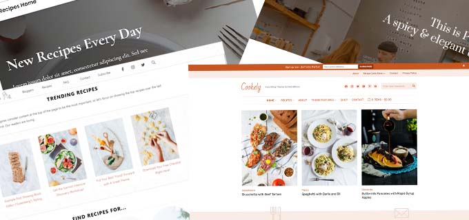 Food blog themes