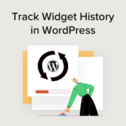 How to track widget history in WordPress