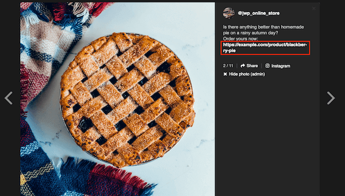 An example of a shoppable Instagram image in WordPress