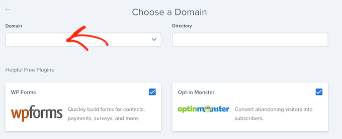 Choosing a domain for your new WordPress website