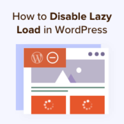 How to properly disable lazy load in WordPress