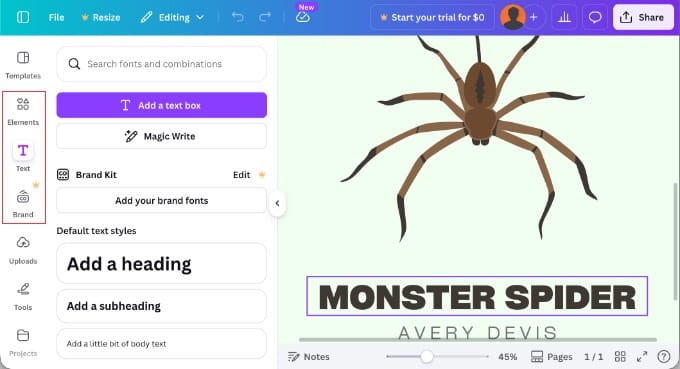 Personalizarea unui șablon Canva