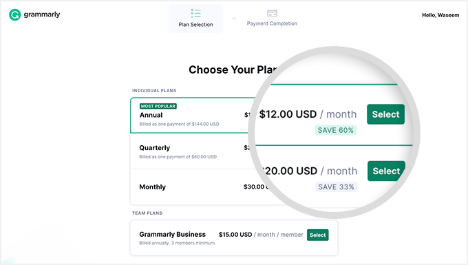 Grammarly annual payment plan