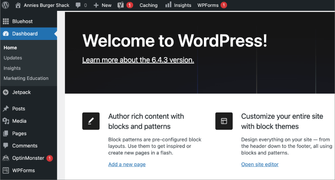 WordPress site admin