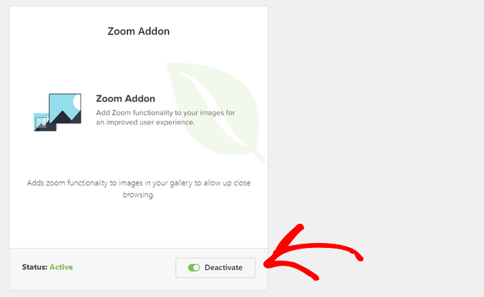 Activate the Zoom Addon