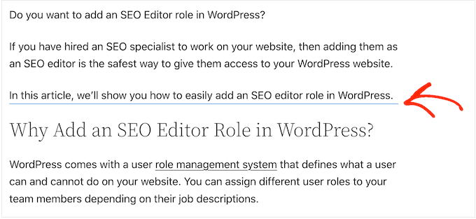 使用 WordPress 块编辑器创建的自定义分隔线