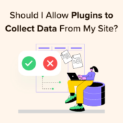 Should I Give Permission for Plugins to Collect Data From My Site?