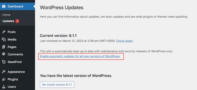 Why is WordPress so complicated? Automatic updates can make it easier