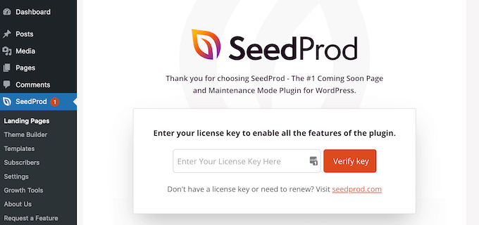 Adding a license to the SeedProd page builder plugin