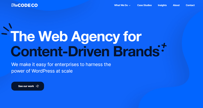 The Code Company WordPress Development Agency The Code Company WordPress Development Agency