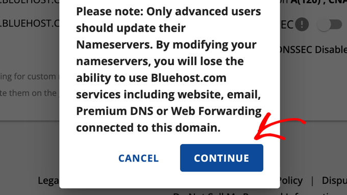 Bluehost Disclaimer About Updating Nameservers