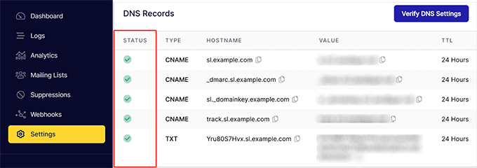 Check DNS records status