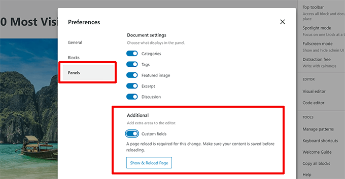 Show custom fields