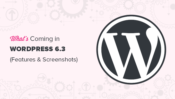 Wordpress 6.5