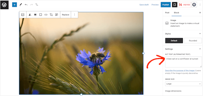 Adicionando texto alternativo a uma imagem do WordPress