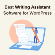Best writing assistant software for WordPress