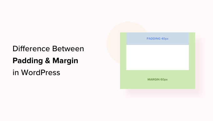 Difference between padding and margin in WordPress