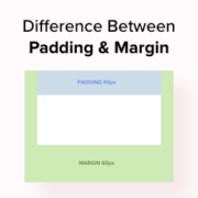 What's the difference between padding and margin in WordPress