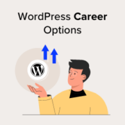 WordPress Career Options - How to Make a Living with WordPress