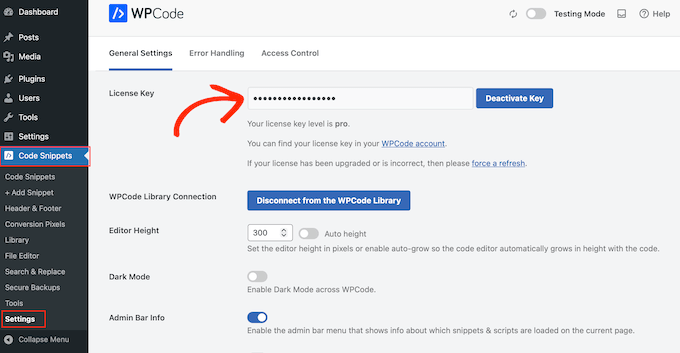 Actualizarea la un plugin premium de fragmente de cod