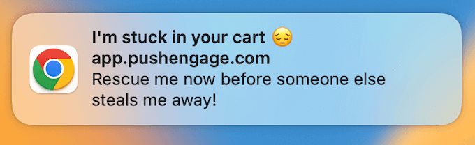 An example of an adandoned cart notification 