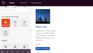 SeedProd Review: Is it the Right Page Builder For You?