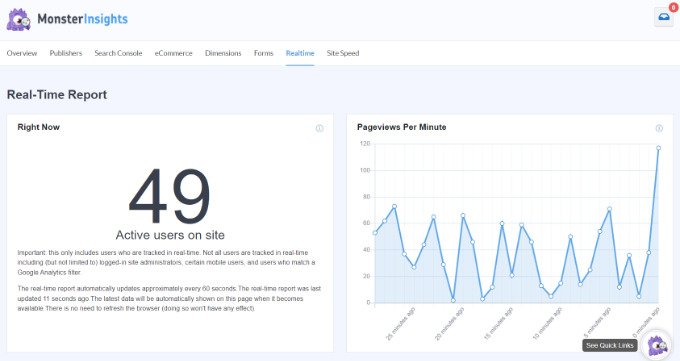 The MonsterInsights realtime reports